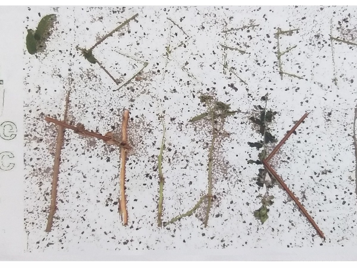 NUOVE OPERE IN ARCHIVIO: Morice Marcuse