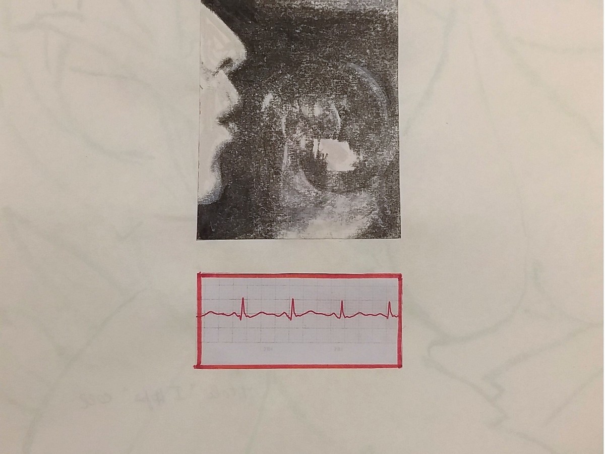 NUOVE OPERE IN ARCHIVIO: Anna Finetti