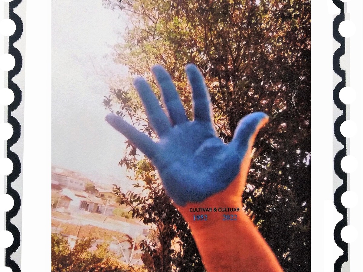 NUOVE OPERE IN ARCHIVIO: Hugo Pontes