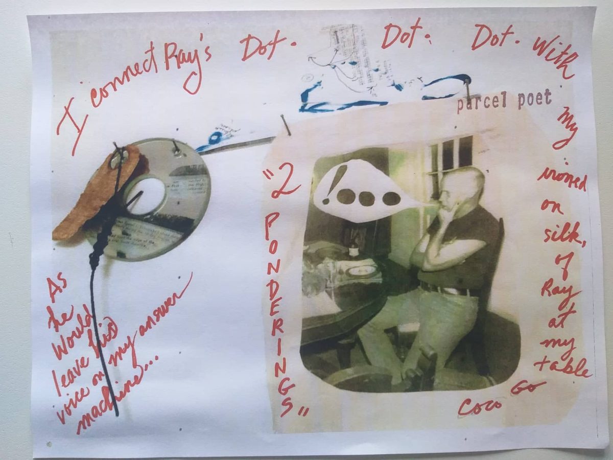 PROGETTO PER UN MUSEO: Coco Gordon